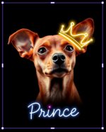 Picture of Prince